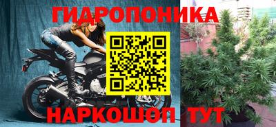 a pvp Можга