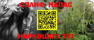 a pvp Можга