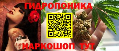 a pvp Можга